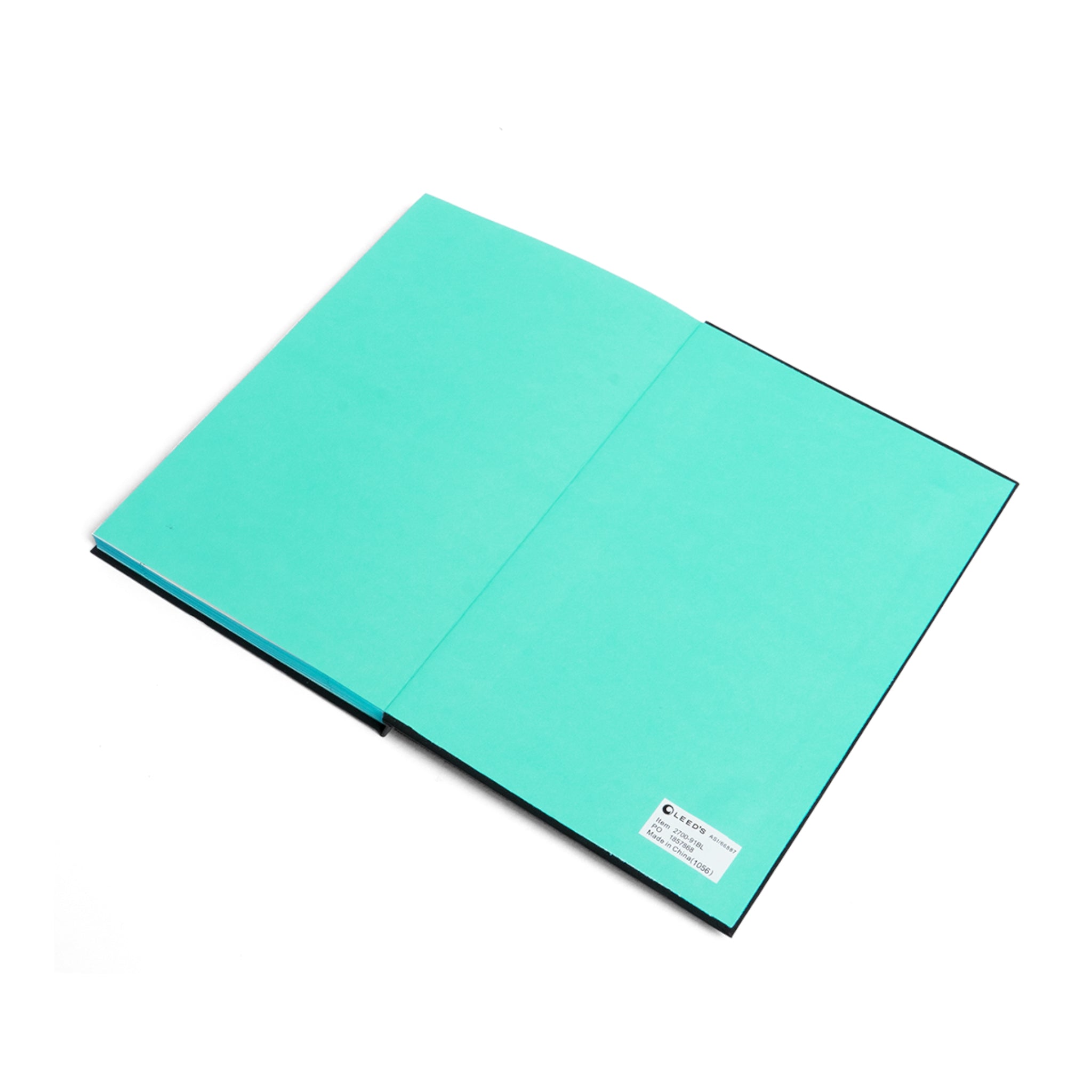 Recovery Journey Color Contrast Notebook