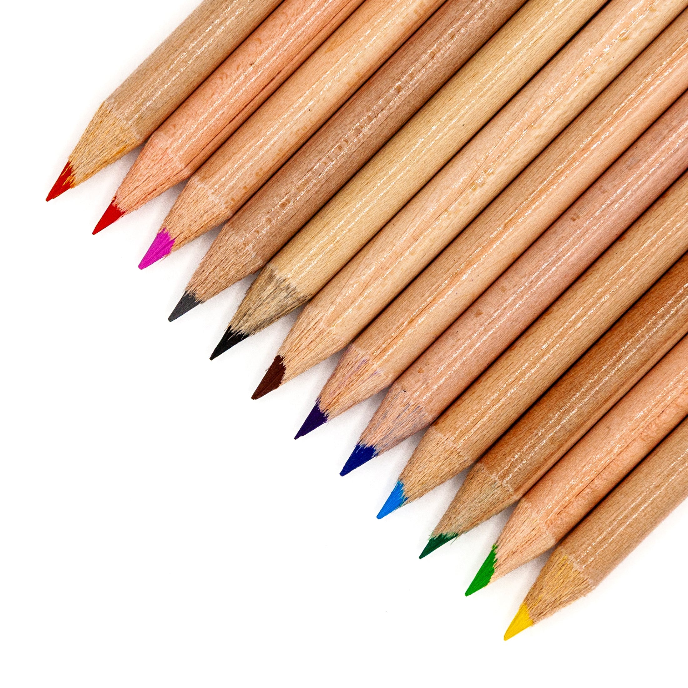 Musgrave Coloring Pencils - 12 Count