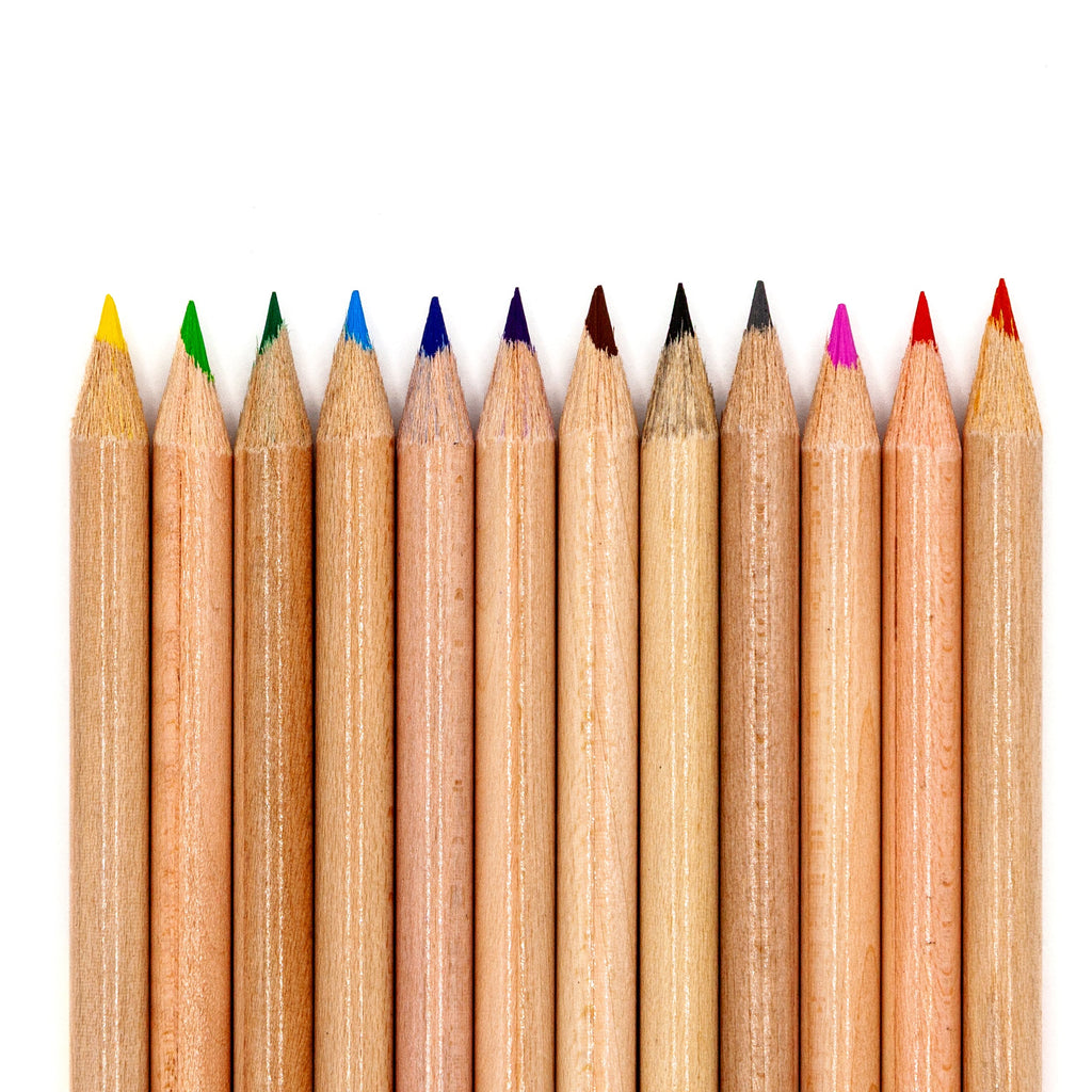 Musgrave Coloring Pencils - 12 Count